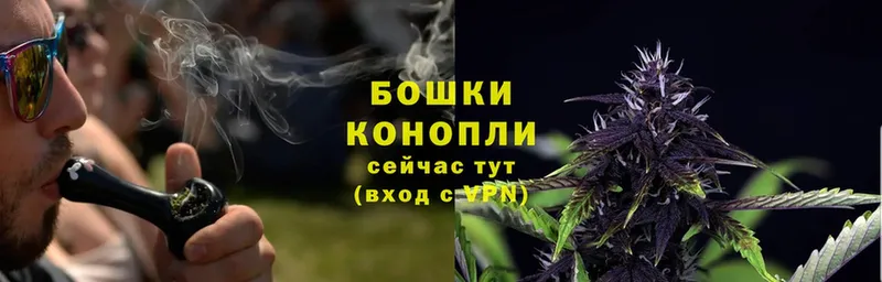 как найти наркотики  Кольчугино  Бошки марихуана LSD WEED 